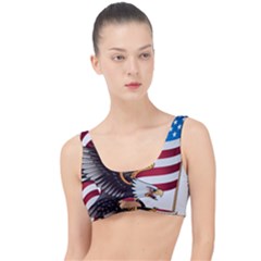 American Eagle Clip Art The Little Details Bikini Top by Maspions