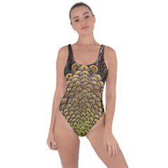 Peacock Feathers Wheel Plumage Bring Sexy Back Swimsuit by Ket1n9