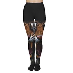 Tiger Angry Nima Face Wild Tights