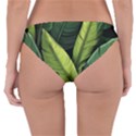 Banana leaves pattern Reversible Hipster Bikini Bottoms View4