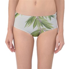 Watercolor Leaves Branch Nature Plant Growing Still Life Botanical Study Mid-waist Bikini Bottoms by Posterlux
