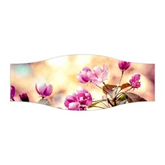 Paradise Apple Blossoms Stretchable Headband by FunnyCow