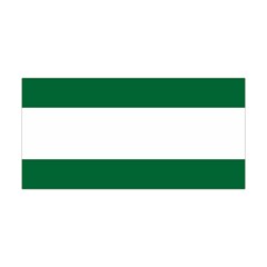 Flag Of Andalusia Yoga Headband by abbeyz71