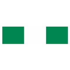 Flag Of Nigeria Satin Scarf (oblong) by abbeyz71